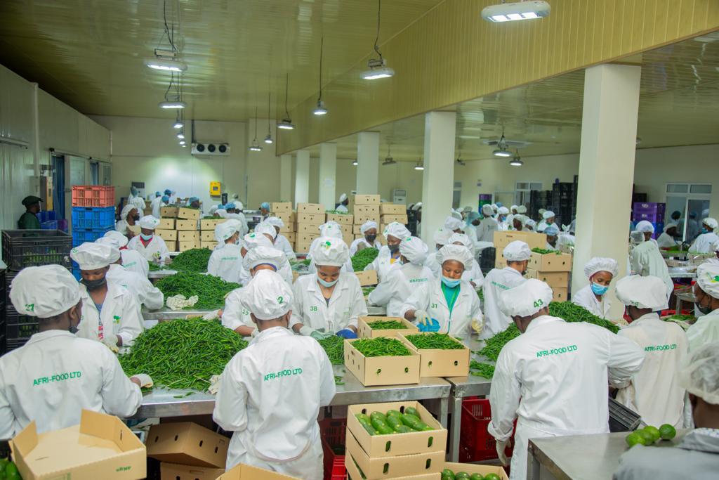 Afri Foods Gallery Image 3