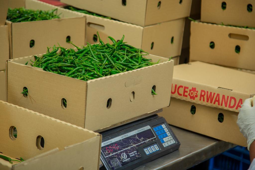 Afri Foods Gallery Image 4